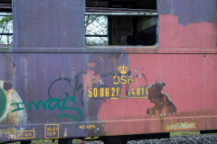 SMM_9245