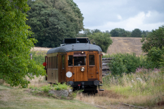SMM_5598