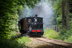 SMM_4048