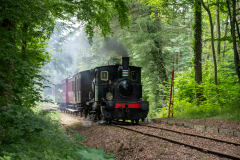 SMM_4055