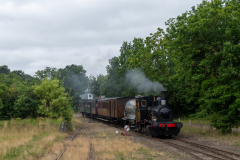 SMM_4081