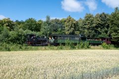 SMM_4179