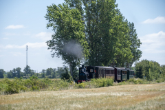 SMM_4227