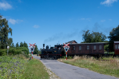 SMM_4238
