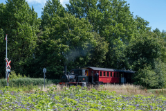 SMM_4253