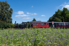 SMM_4265