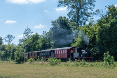 SMM_4281