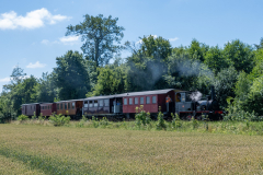 SMM_4286