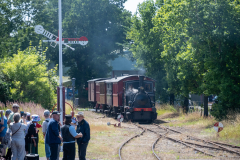 SMM_4295
