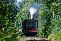 SMM_4415