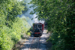 SMM_4468