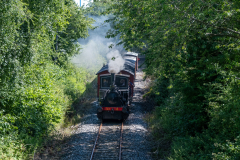 SMM_4473