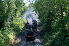 SMM_4477