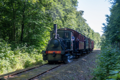 SMM_4499