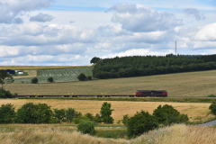 DSC_4633