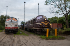 SMM_7694