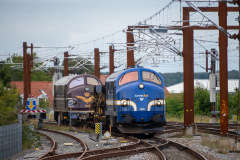 SMM_8124