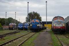 SMM_8377