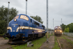 SMM_8436