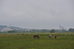 DSC_9056