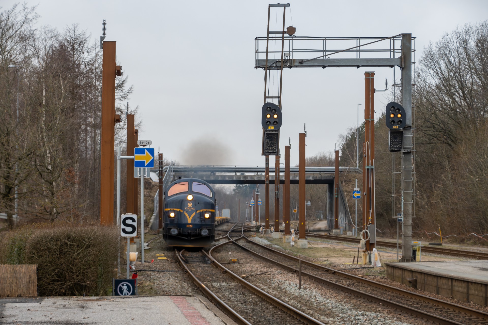 VIKING Rail M rsktog Med MX 1029 1831 29 01 2024 SimonTog dk