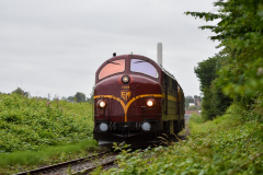 DSC_4252