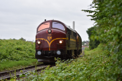 DSC_4257