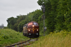 DSC_4260