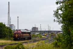 DSC_4280