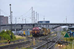 DSC_4306