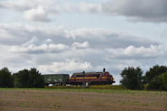 DSC_8784