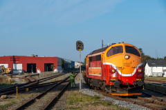 SMM_8379
