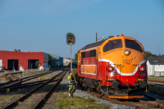 SMM_8382