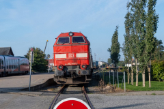 SMM_8399