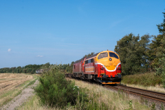 SMM_8548