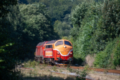 SMM_8560