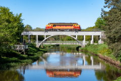 SMM_6256
