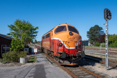 SMM_6314