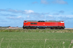SMM_6452