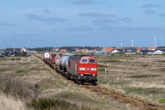 SMM_6479