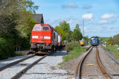 SMM_6537