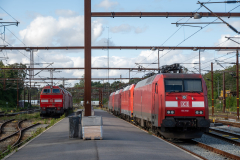 SMM_5294
