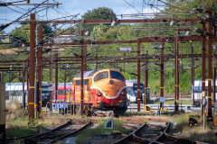 SMM_5298