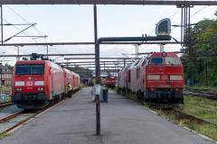 SMM_5299