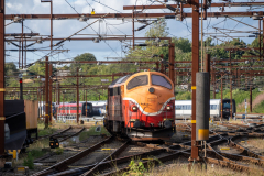 SMM_5303