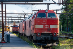 SMM_5314