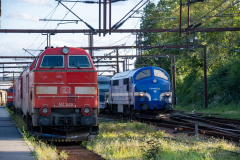 SMM_5322