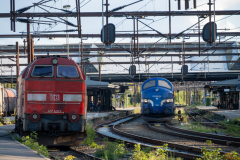 SMM_5324