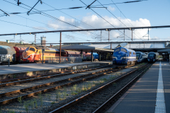 SMM_5348
