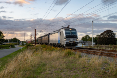 SMM_5373